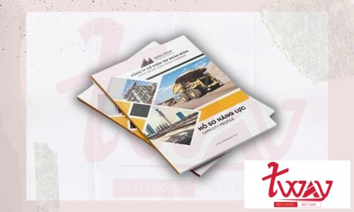 Hồ sơ năng lực công ty - Capacity Profile