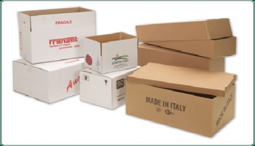 thiết kế in ấn thùng carton hcm