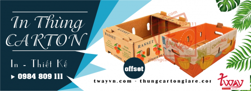 Thùng carton có ưu điểm và nhược điểm gì?Đặc điểm  của thùng carton