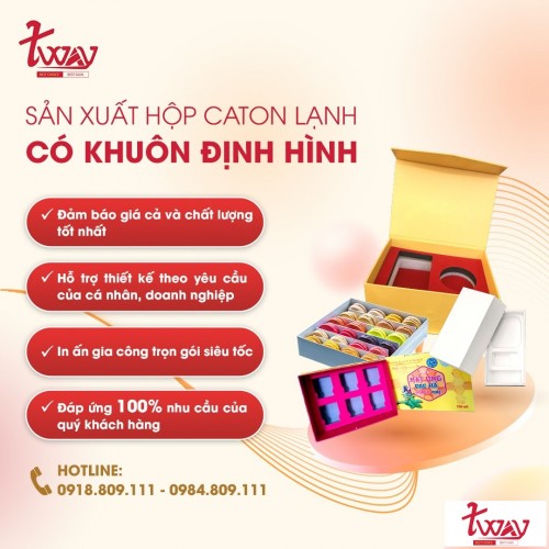 ung-dung-thuc-te-cua-hop-carton-lanh